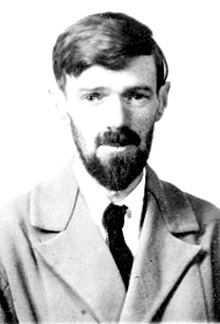 D. H. Lawrence