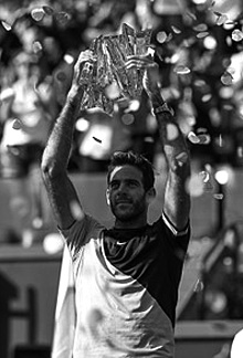 Juan Martin del Potro